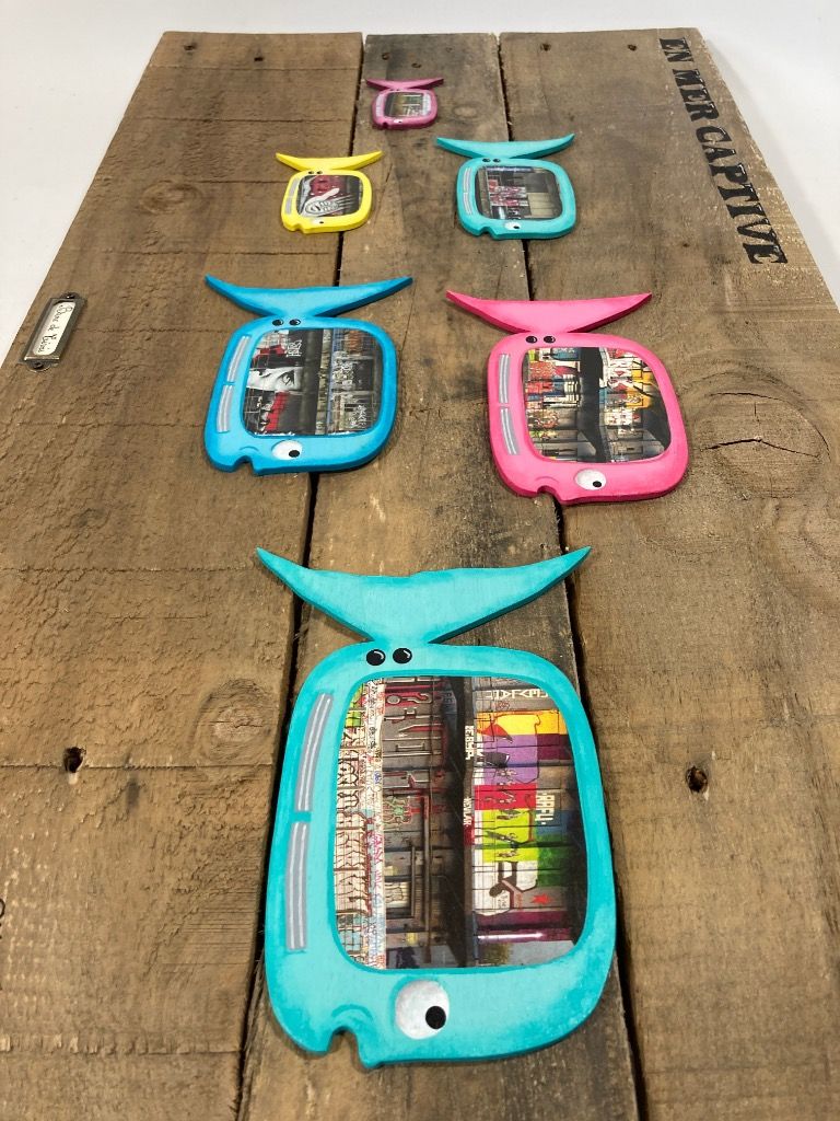 Banc de Tivis en Mer Captive - 2024 - Tous droits réservés Sofi K.