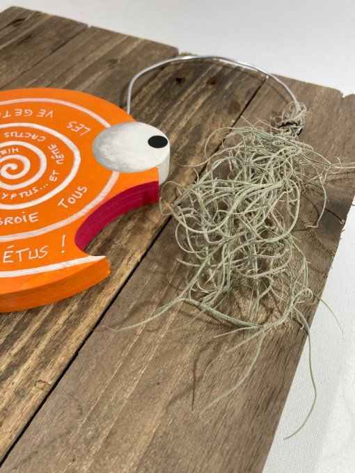 Tableau poisson - Spiralgivorus