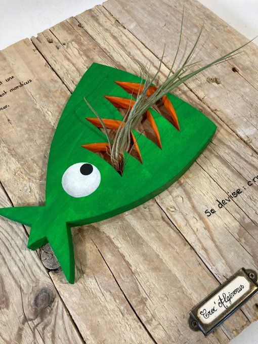 Tableau poisson - Croc' Algivorus