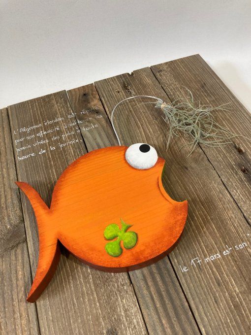 Tableau poisson - Irish Algivorus